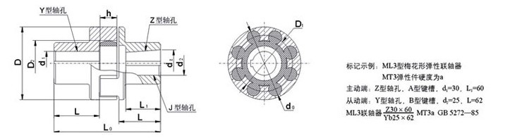 湖北多力多傳動(dòng)軸有限公司 ML型梅花形彈性聯(lián)軸器.jpg